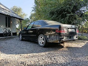 bis vip: Mercedes-Benz E-Class: 2000 г., 2.7 л, Автомат, Дизель, Седан — 4