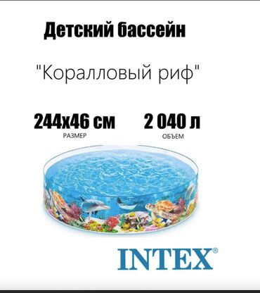 Бассейны: 🏖️ Детский бассейн 244×46 см "Коралловый риф" — 2040 л, от 3 лет 📏
