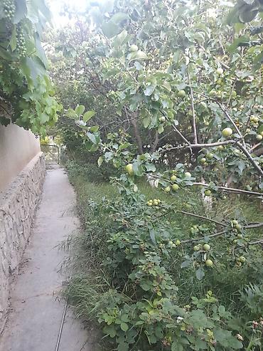 Продажа коттеджей и домов: Продается ДОМ с САУНОЙ НА ИССЫК-КУЛЕ БУЛАН-СОГОТУУ(комсомол)(НА ПРОТИВ — 4