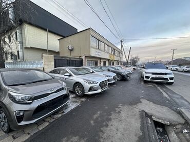 Kia: Kia K5: 2018 г., 2 л, Автомат, Газ, Седан