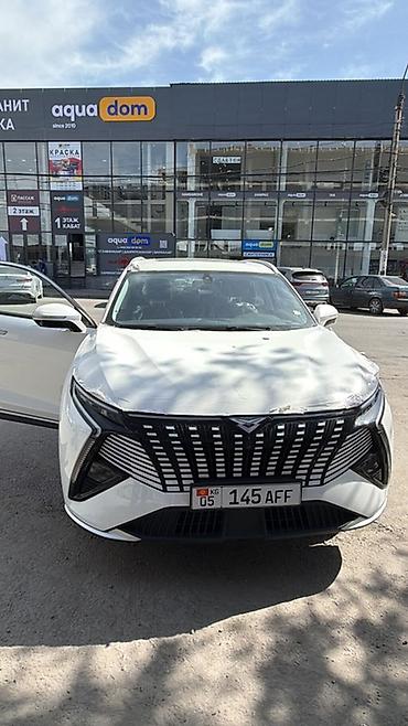 дордой мото: Кроссовер Neta X, белый цвет кузова. Ключевые особенности: - — 1