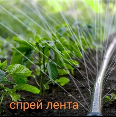 пленки для полива: СПРЕЙ ЛЕНТА ДЛЯ ОРОШЕНИЯ 
в рулоне 200 метров 
цена за 1метр 11сом