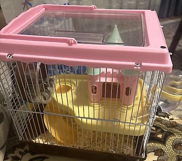 Hamster və tam avadanlıqlı qəfəs dəsti Məhsulun tərkibi: - Kiçik — 2