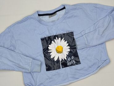 sweterki lidl: Bluza, Destination, 12 lat, 146-152 cm, stan - Idealny