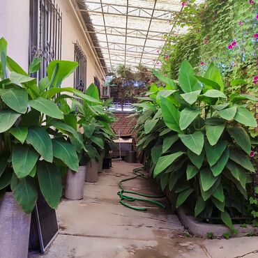 Продажа домов: Дом, 135 м², 4 комнаты, Риэлтор, Евроремонт — 27