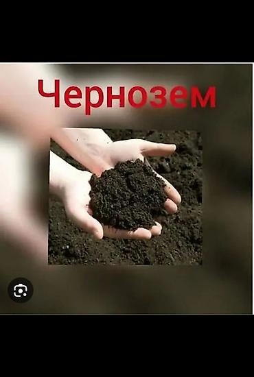 В тоннах, Бесплатная доставка, Зил