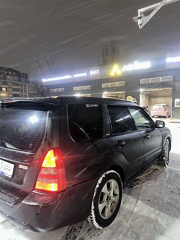 Subaru: Subaru Forester: 2003 г., Автомат, Бензин, Универсал — 6