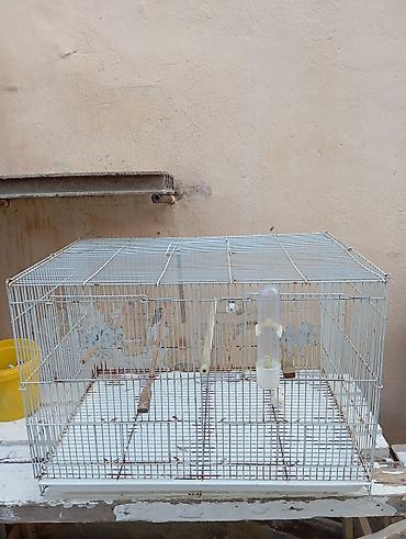 hamster qefesi: Quş qəfəsi,hamster qefesi, dovşan qəfəsi ve s - Material: metal torlu — 2