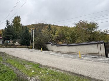 qutqaşınlı küçəsi: 43 sot, Kənd təsərrüfatı, Mülkiyyətçi, Kupça (Çıxarış)