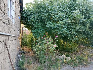 Həyət evləri və villaların satışı: 2 otaqlı, 80 kv. m, Təmirsiz — 13
