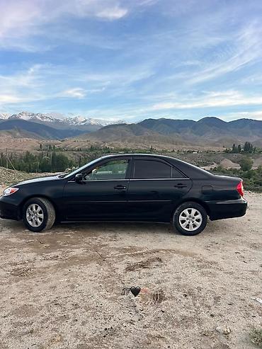 bmw 3: Toyota Camry: 2004 г., Автомат, Бензин, Седан — 4