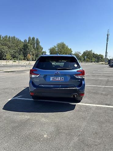 subaru forester: Subaru Forester: 2020 г., 2.5 л, Вариатор, Бензин, Кроссовер — 5