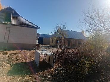 Продажа коттеджей и домов: Продаётся домовладение с участком. - Два отдельно стоящих жилых дома — 8