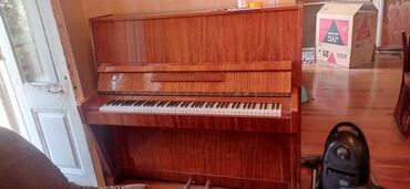 Honda: Piano, Belarus, Akustik