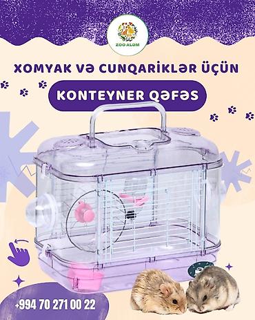 cunqarikler: Xamyak və cunqariq qəfəsi. Xomyak və cunqarikləriniz üçün maraqlı — 2