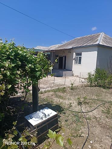 bağ evi: Binə safxozda. Ələkbər inşaat yaxın 190 nömrəli marşurutun yolu — 6