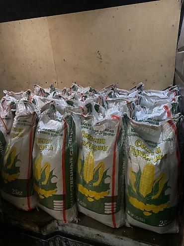 Пшеница: Жугору урук кукуруза 🌽 беде Арпа урук сулуу оптом достовка бар — 9