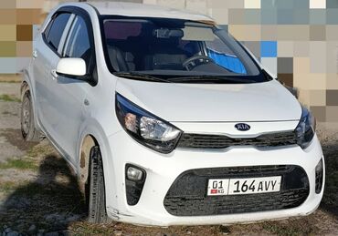 купить трактор мтз бу: Kia Morning: 2019 г., Автомат, Бензин, Хетчбек