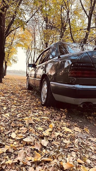 mersedes e220: Mercedes-Benz W124: 1994 г., 2 л, Механика, Бензин, Седан — 7