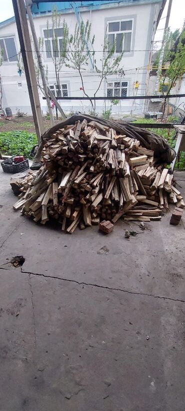 продаю дрова в мешках: Дрова Тополь, Самовывоз