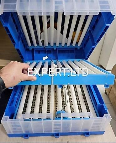 inkubator cucesi: 100 yumurta, Çin, Fabrik istehsalı, Tam avtomat, Bütün növ quşlar üçün — 9