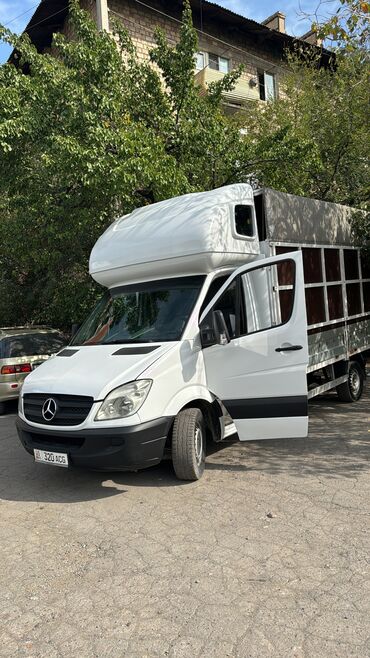 мерс спринтер коротыш: Mercedes-Benz Sprinter Classic: 2008 г., 2.2 л, Механика, Дизель, Бус