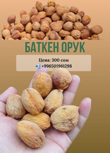 удобрения аммофос: Баткен Орук — натуральный, вкусный, без сахара! > Продаю