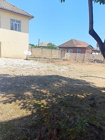 neapol dairesinde kiraye evler: 4 otaqlı mənzil 140кв - Geniş və işıqlı zal: divarları açıq yaşıl — 5