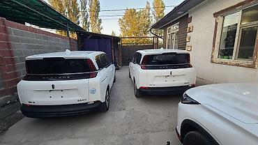 задние фонари 210: Microcar : 2023 г., 0.1 л, Автомат, Электромобиль, Минивэн — 2