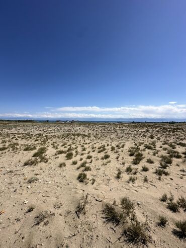 Продажа участков: 8 соток, Для сельского хозяйства, Договор купли-продажи — 3