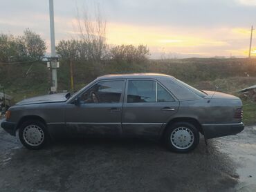 Mercedes-Benz: Mercedes-Benz W124: 1991 г., 2.5 л, Механика, Дизель, Седан