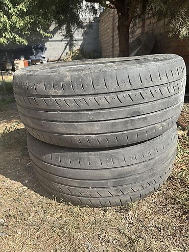 25550 r19 зима: 255/50/19 
Цена: 1600 сом 2 шт — 1