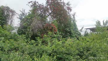 Продажа домов: Дом, 70 м², 4 комнаты, Собственник, Старый ремонт — 3