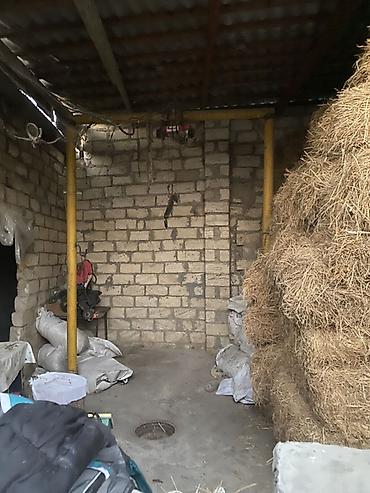 Həyət evləri və villaların satışı: 1 otaqlı, 10 kv. m -da lalafo.az — 14 Həyət evləri və villaların satışı: 1 otaqlı, 10 kv. m — 14