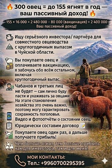аренда квартир рядом: 1 комната, 31 м², 105 серия, 2 этаж — 1