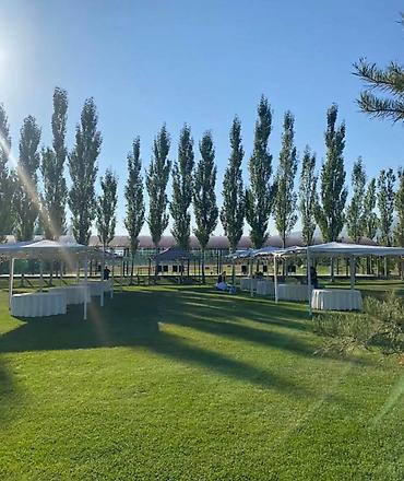 Организация мероприятий: Шатры!!!Шатры!!!Шатры!!!Аренда шатров!!Столы стулья!!!Организация — 6