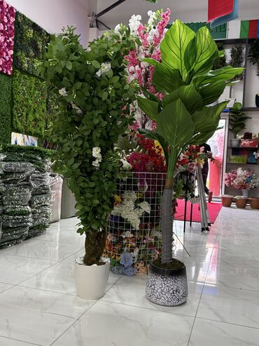 Güzgülər: Güzgü Divar üçün — 15