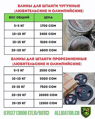 6800: Блины для штанги (любительские и олимпийские) Варианты: - Чугунные — 1
