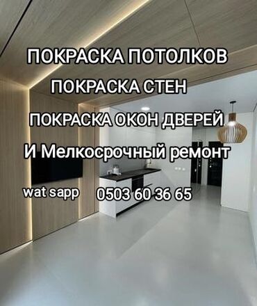 ремонт пластиковых деталей: Покраска стен, Покраска потолков, Покраска окон, На масляной основе, На водной основе, Больше 6 лет опыта