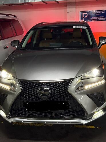 Lexus: Lexus NX: 2019 г., 2 л, Автомат, Бензиновая, Кроссовер — 13
