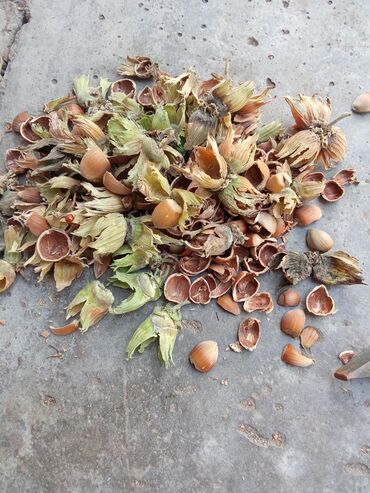 Продажа участков: 8 соток, Для сельского хозяйства, Тех паспорт — 9