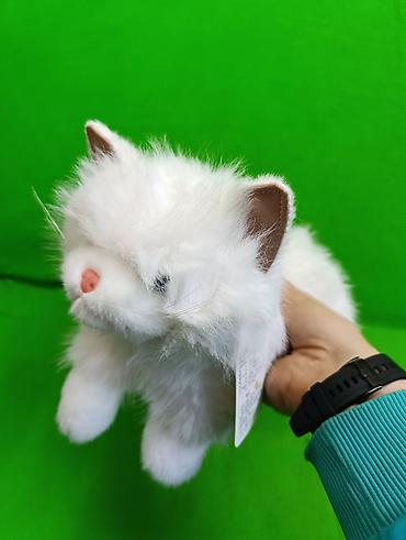 пушистые собачки: 🐱 Пушистые котята — мягкие игрушки, в которые невозможно не влюбиться! — 6