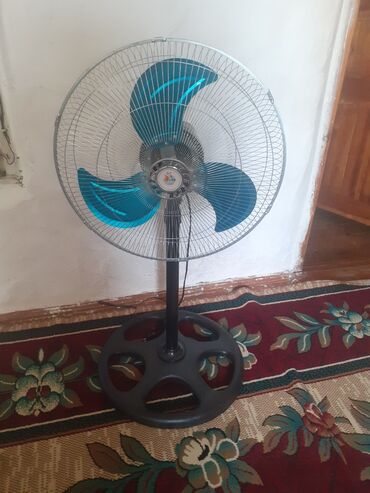 Aristonlar: Ventilyator Yeni, Döşəməüstü, Pərli, Kredit yoxdur, Ünvandan götürmə
