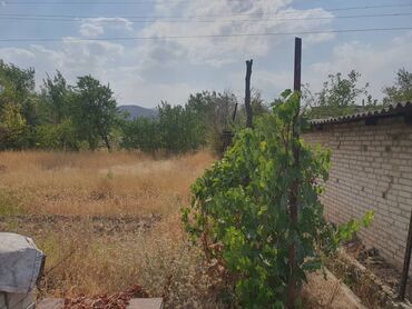 Продажа домов: Дача, 50 м², 3 комнаты, Собственник — 2