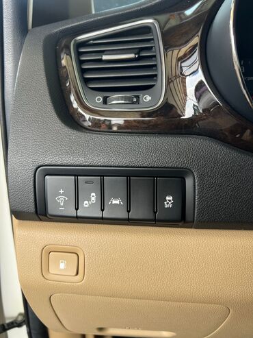 Kia: Kia Carnival: 2019 г., 2.2 л, Автомат, Дизель, Минивэн — 14