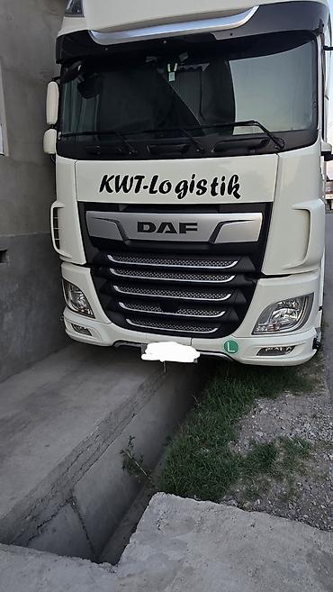 крыло гольф 2: Тягач, DAF, 2020 г. — 2