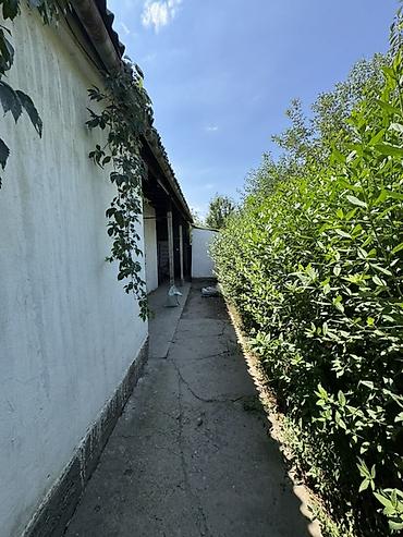 чон арык дом: Продаётся капитальный кирпичный дом с большим огородом Адрес Ж/М Ала — 5