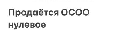 бассейн с тренером: Продаётся ОСОО нулевое, с 2019 года со всеми необходимыми документами