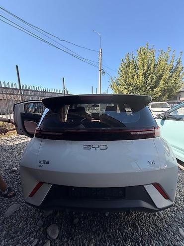 byd hybrid: BYD Dolphin: 2023 г., Автомат, Электромобиль, Хэтчбэк — 6