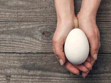 Животные: Инкубационные гусиные яйцо тема не моя звоните по номеру или пишите